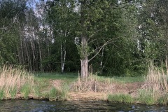 IMG_1731
