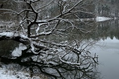 IMG_7772