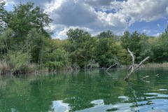 IMG_5092