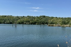 IMG_5532
